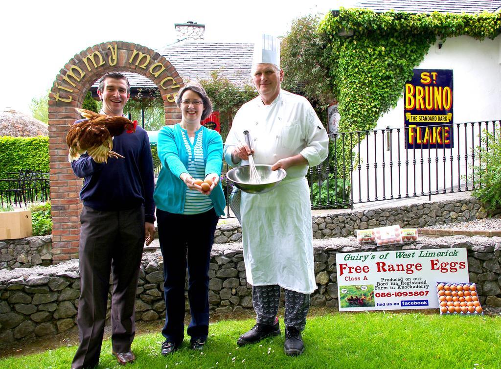 Fitzgeralds Woodlands House Hotel Adare Extérieur photo